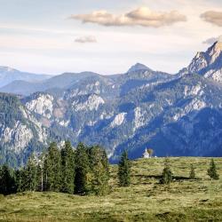 Salzburg Accommodation Seattle