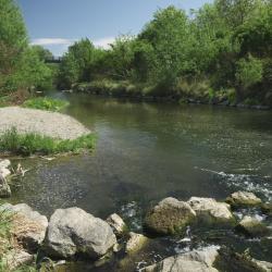 Schwechat Accommodation Seattle