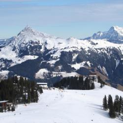 Skicircus Saalbach Hinterglemm Leogang Fieberbrunn Accommodation Seattle