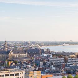 Antwerpse Kempen Accommodation Seattle