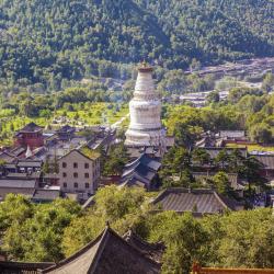 Shanxi Accommodation Seattle