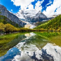 Sichuan Accommodation Seattle