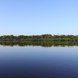 Amazonas Accommodation Seattle