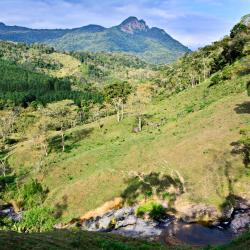 Nariño Accommodation Seattle