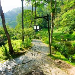 Risaralda Accommodation Seattle