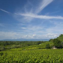 Baden-Württemberg Accommodation Seattle