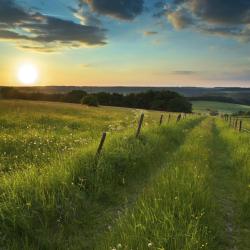 Eifel Accommodation Seattle