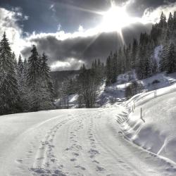 Feldberg Accommodation Seattle