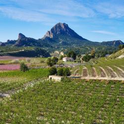 Murcia Accommodation Seattle