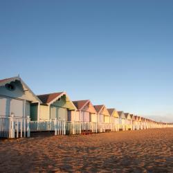 Essex Accommodation Seattle