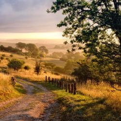 Hertfordshire Accommodation Seattle