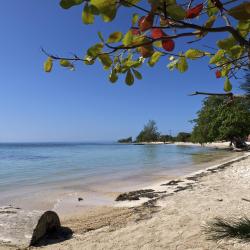 Utila Accommodation Seattle