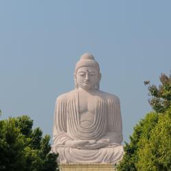 Bihar Accommodation Seattle