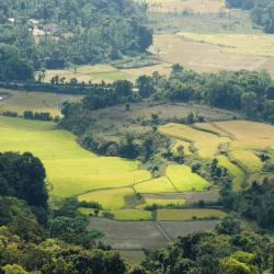 Coorg Accommodation Seattle