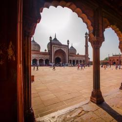 Delhi NCR Accommodation Seattle