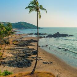 North Goa Accommodation Seattle