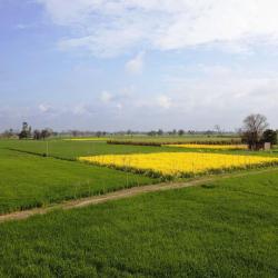 Punjab Accommodation Seattle