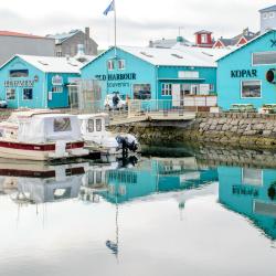 Reykjavik Old Harbour, Reykjavík Accommodation Seattle
