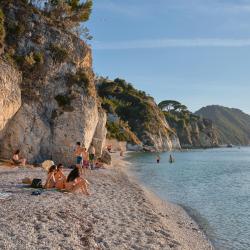 Elba Accommodation Seattle