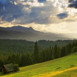 Gmina Bukowina Tatrzanska Accommodation Seattle