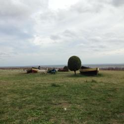 Kashubia Accommodation Seattle