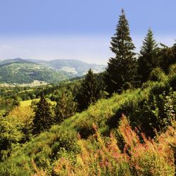 Lodz Accommodation Seattle