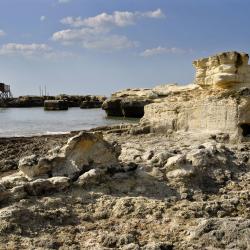 Podlaskie Accommodation Seattle