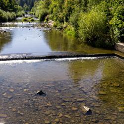 Wisla Accommodation Seattle