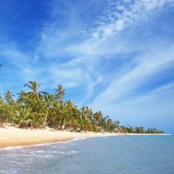 Koh Samui Accommodation Seattle