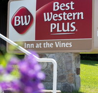 Best Western Plus Inn At The Vines - Accommodation Seattle