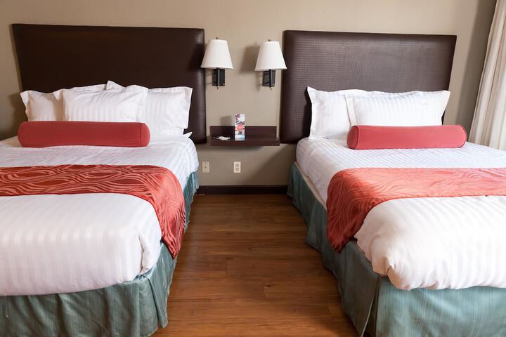 The Dixie Hollywood - thumb 6