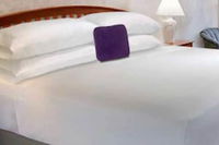 Kingville Sc Accommodation Seattle