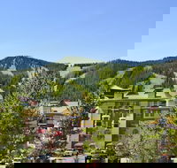 The Vintage Hotel - Accommodation Seattle