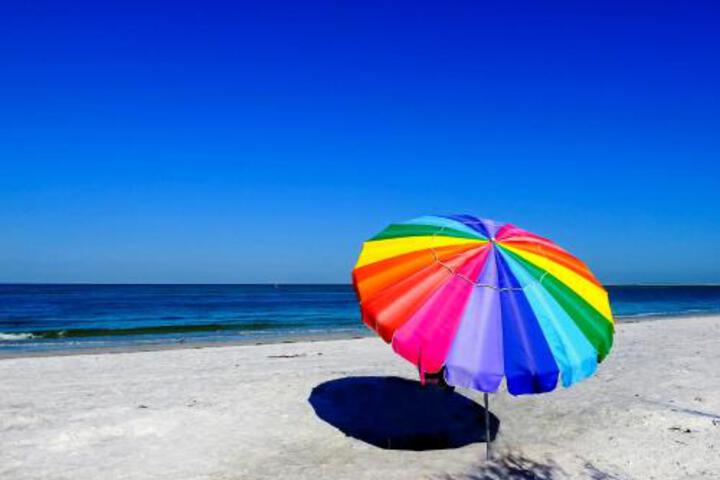 The Palm Of Madeira Beach #9 - thumb 6