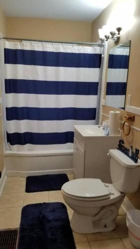 Quaint Apartment In Older East Knoxville - thumb 4