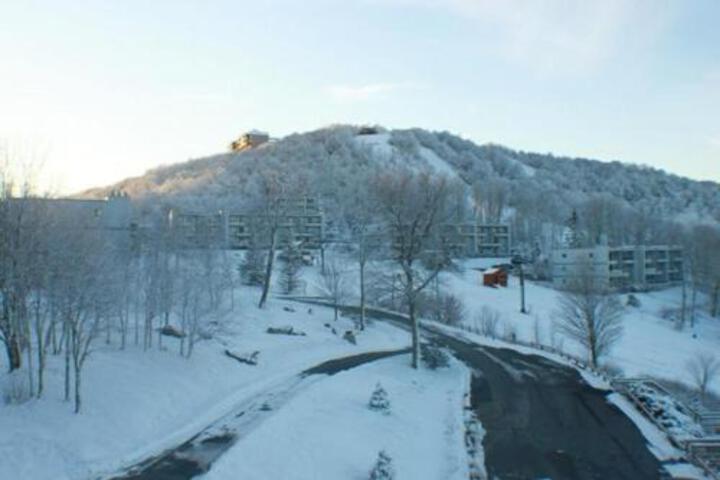 Sugar Ski & Country Club Unit 10 602 - thumb 2