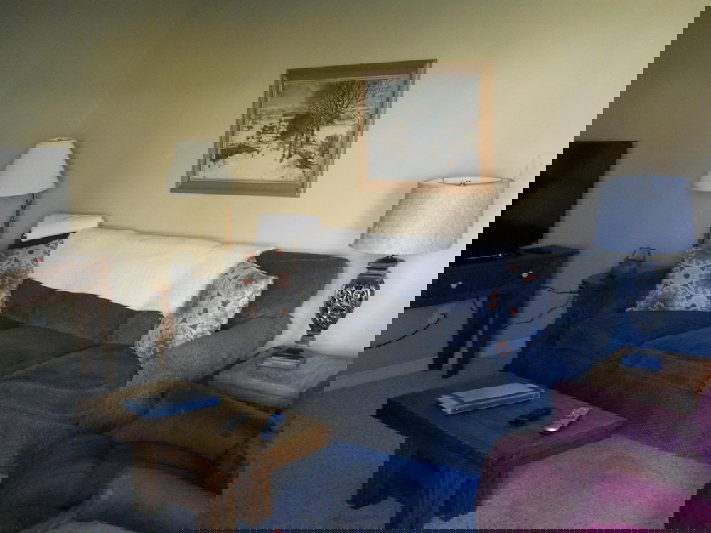 Sugar Ski & Country Club Unit 614 Bronze - thumb 4