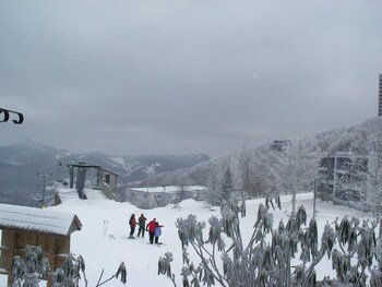 Sugar Ski & Country Club Unit 416 Bronze - thumb 0