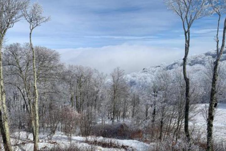 Sugar Ski & Country Club Unit 225 - thumb 5