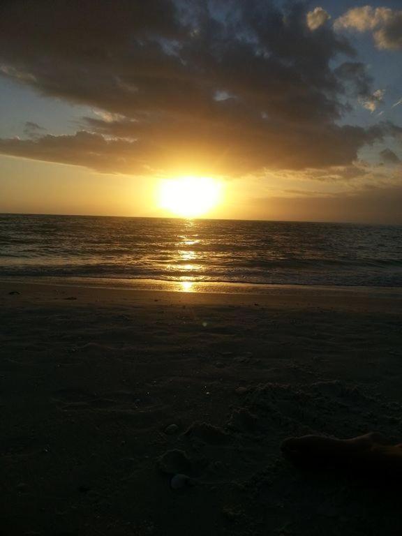 Sea Winds At Marco Island Florida - thumb 6