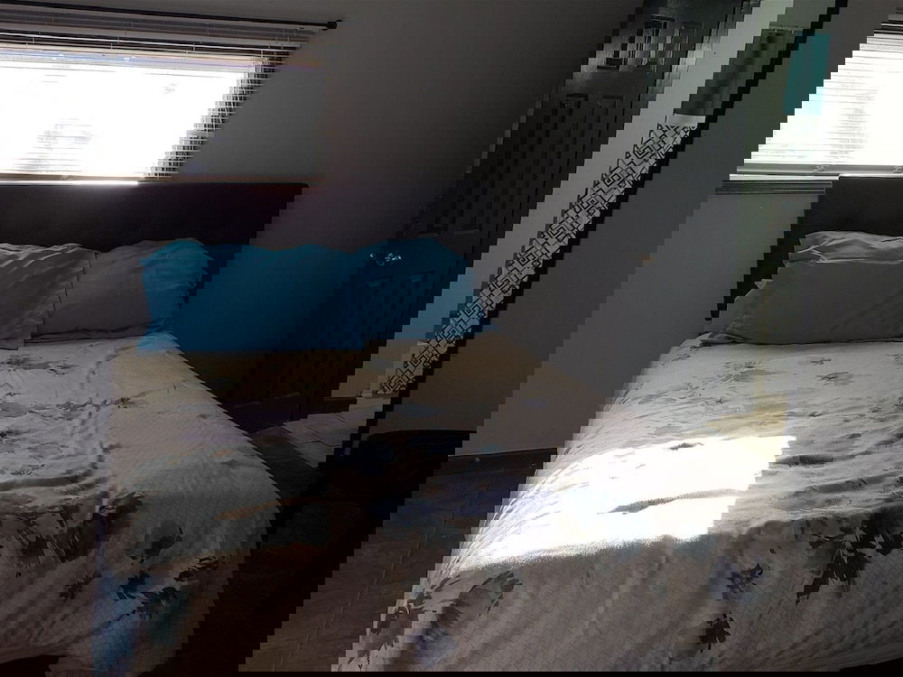 Apartment - 1064 College Street - thumb 4