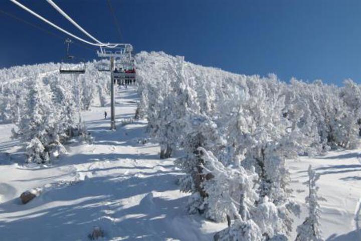 Updated Pinewild Condo #41 Condo - thumb 3