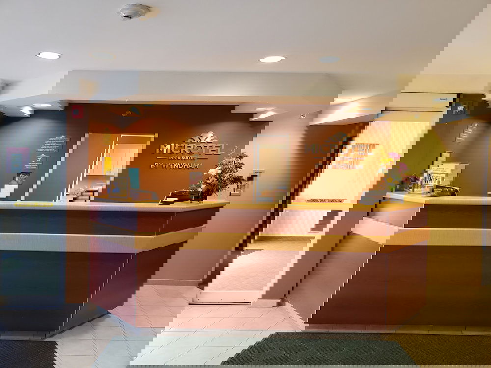 Microtel Inn & Suites By Wyndham Dover - thumb 3