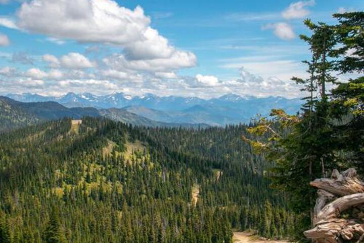 Kintla 404 Lock Off Hotel Room - thumb 0