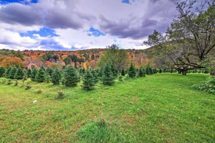 Historic Chester House 10 30 Mins To 5 Mountains! - thumb 4