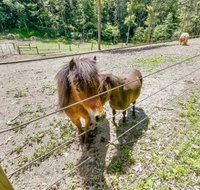 Cabin w / Ponies 50 Acres by Raystown Lake - Accommodation Seattle