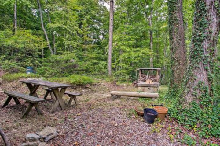 Asheville Area Home 16 Mi To Biltmore Estate! - thumb 3