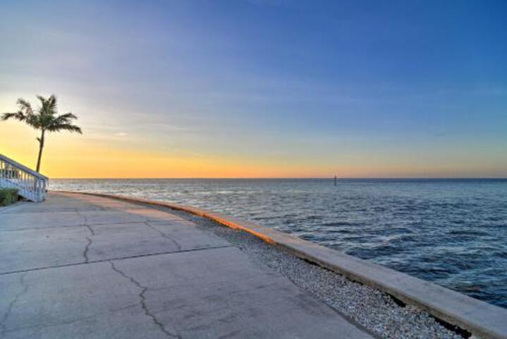 Bayfront Condo 3Mi To Downtown St. Petersburg - thumb 2