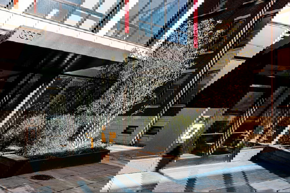 BLACK SWAN - Liz DC - Executive Flat - thumb 1