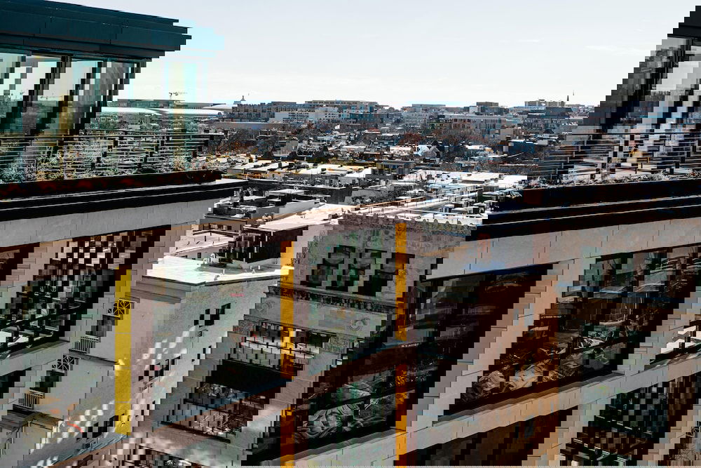 BLACK SWAN - Liz DC - Executive Flat - thumb 0